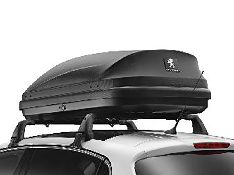 CITROEN Citroen C4 Picasso Roof box short (330 l)