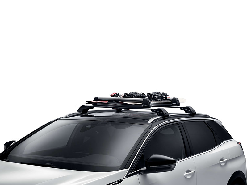 CITROEN Citroen C4 Picasso Ski carrier on roof railing (4 pairs)