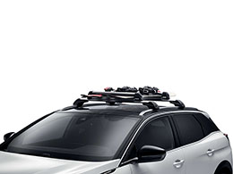 CITROEN Citroen C4 Picasso Ski carrier on roof railing (4 pairs)