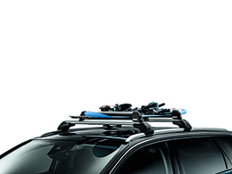 CITROEN Citroen C4 Picasso Ski carrier on roof railing (6 pairs)